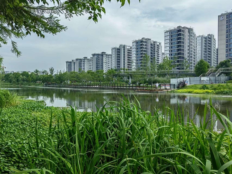 鄞州区城区内河水质日常养护项目（标项十）