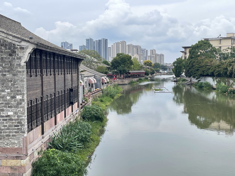 南塘河河道水质养护项目